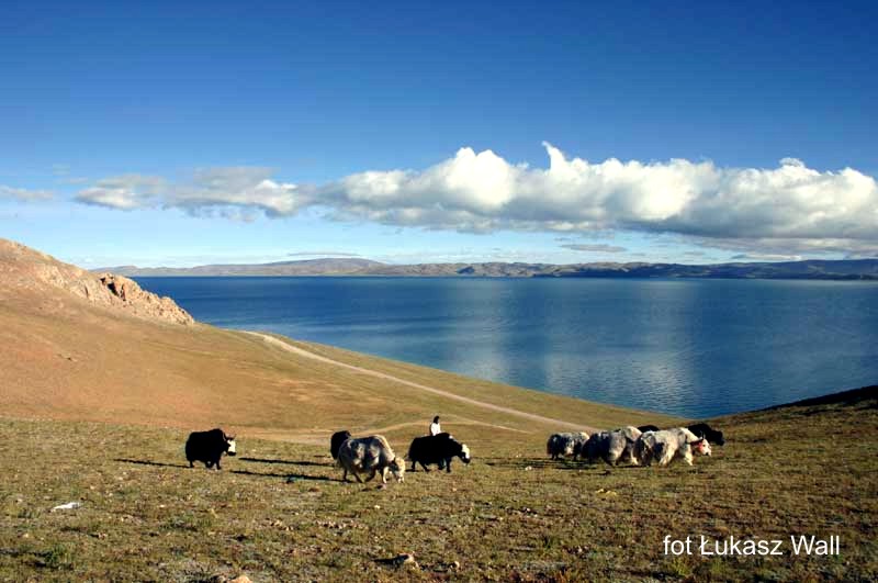 Wyprawa Tybet - Nepal: Lhasa, Yamdrok Tso, Gyantse, Shigatse, Tingri, Zhangmu, Kathamandu Wyprawa Tybet - Nepal: Lhasa, Yamdrok Tso, Gyantse, Shigatse, Tingri, Zhangmu, Kathamandu