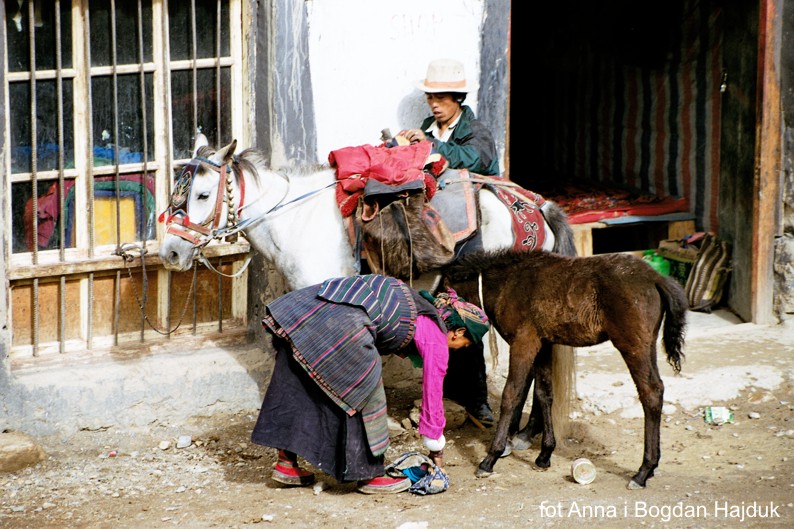 Wyprawa Tybet - Nepal: Lhasa, Yamdrok Tso, Gyantse, Shigatse, Tingri, Zhangmu, Kathamandu Wyprawa Tybet - Nepal: Lhasa, Yamdrok Tso, Gyantse, Shigatse, Tingri, Zhangmu, Kathamandu