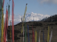 Chele La Nature Trek